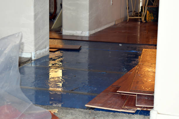 Professional Flood Damage Repair technician working in North Hills, CA